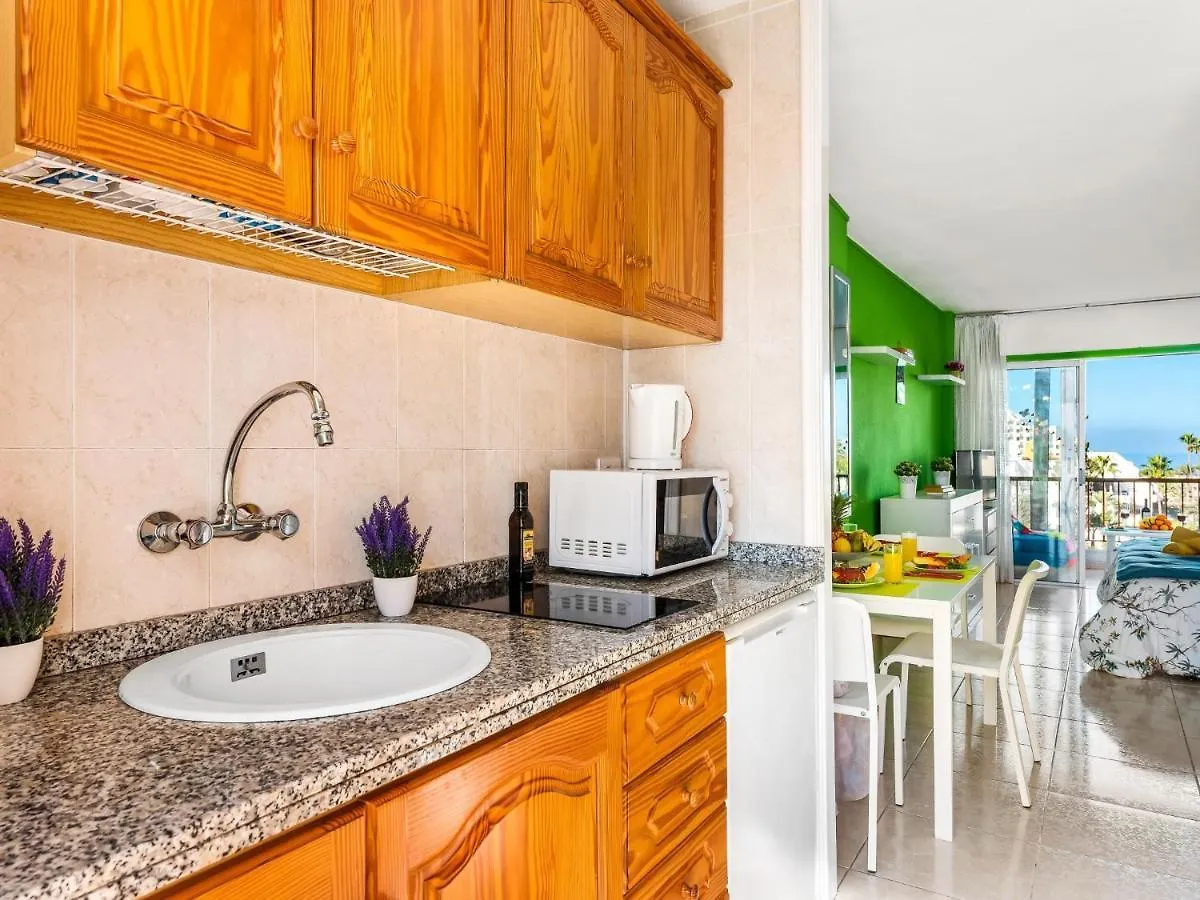 Apartment 426 Wonderful Studio In Las Americas! Wi Fi Free! Playa de las Americas  Spain